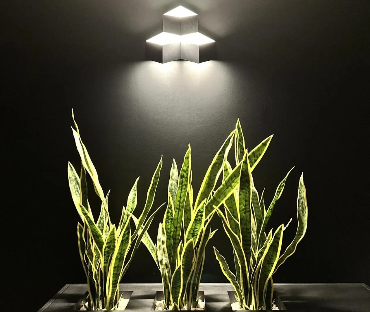 The Corner 1Br In Gemmayze Beirut Apartment